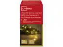 Bild 2 von LIVARNO LED-Lichterkette