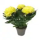 Bild 2 von GARDENLINE Deko-Chrysantheme