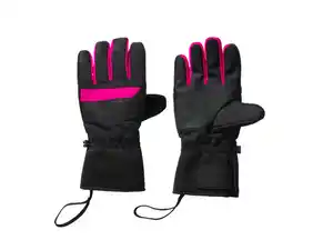 CRIVIT Premium-Skihandschuhe