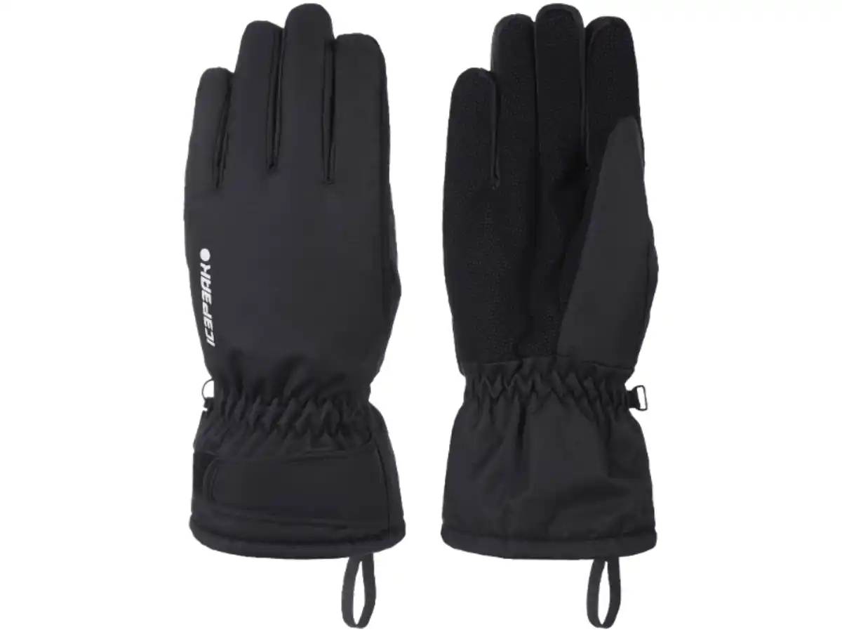 Bild 3 von ICEPEAK Ski-Handschuhe »HAINICHEN« unisex