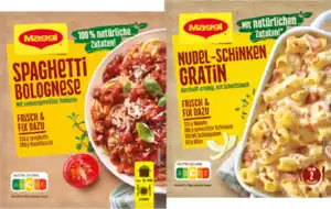 Maggi Fix, Herzensküche oder Food Travel Würzpaste