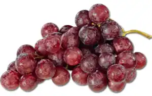 Tafeltrauben rot
