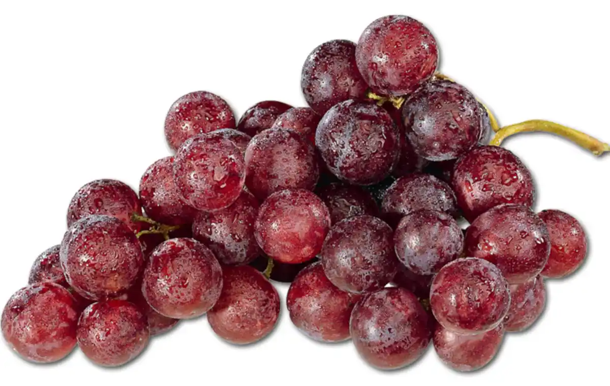 Bild 1 von Tafeltrauben rot