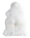 Bild 1 von Schaffell 60 x 85 cm weiß