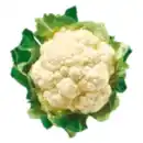 Bild 1 von Deutscher Blumenkohl