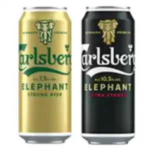 Carlsberg Elephant oder Extra Strong