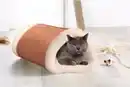 Bild 3 von BELLA CASA CAT BONBON Katzentunnel 2 in 1