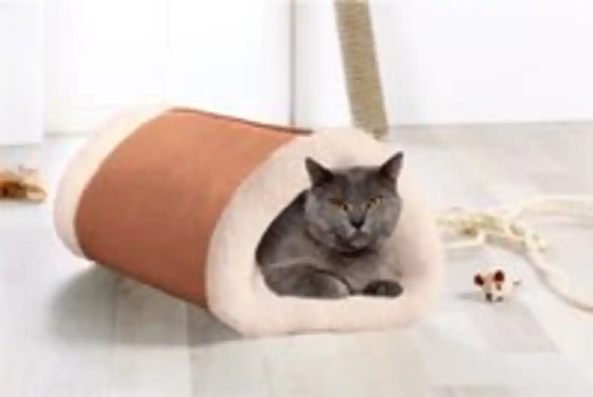 Bild 3 von BELLA CASA CAT BONBON Katzentunnel 2 in 1