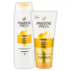 Pantene Spülung / Shampoo