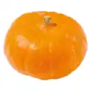 Bild 1 von Deutscher Hokkaido Kürbis
