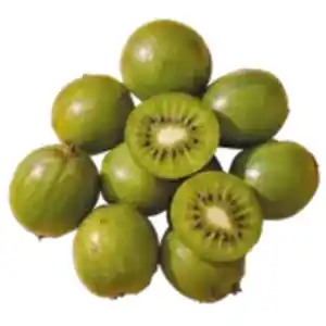 Kiwibeeren