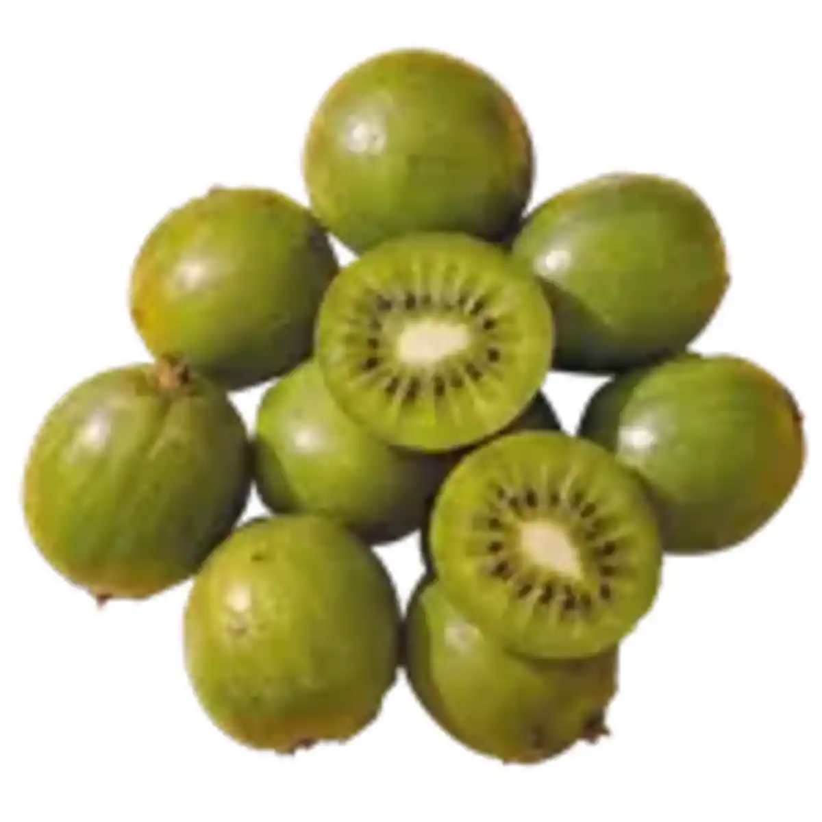 Bild 1 von Kiwibeeren