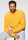 Bild 1 von Fruit of the Loom Sweatshirt im unifarbenen Design
