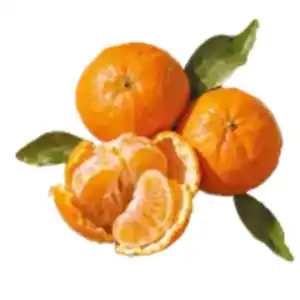Clementinen