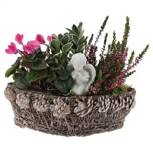 GARDENLINE Grabbesonderheit, Salim-Schiffchen