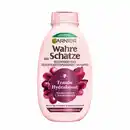 Bild 1 von Garnier Wahre Schätze Regenerierendes Feuchtigkeitsspendendes Shampoo Traube Hydraboost, 300 ml
