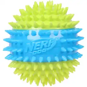 Nerf Hundespielzeug