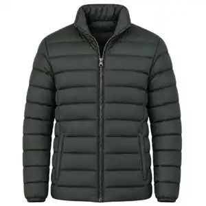 Herren Leichtsteppjacke