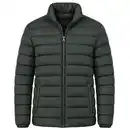 Bild 1 von Herren Leichtsteppjacke