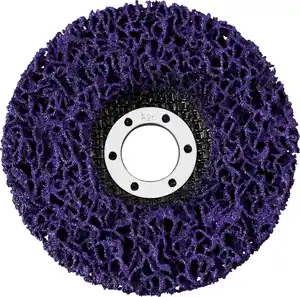 PARKSIDE® Reinigungsscheibe
