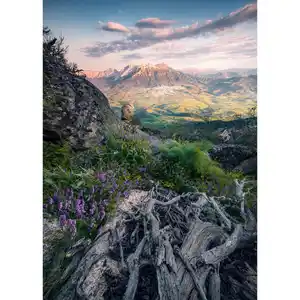 Xora Fototapete, Mehrfarbig, Textil, Blume, 200x280 cm, Tapeten & Wandverkleidungen, Fototapeten