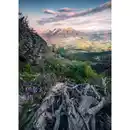 Bild 1 von Xora Fototapete, Mehrfarbig, Textil, Blume, 200x280 cm, Tapeten & Wandverkleidungen, Fototapeten