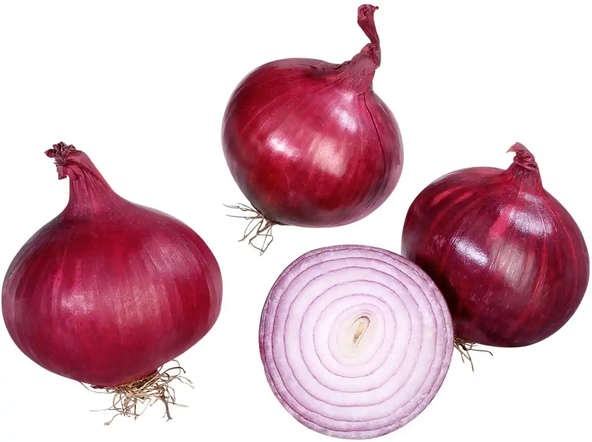 Bild 1 von Dtsch./niederl. Zwiebeln, rot, 1-kg-Packg.