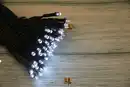 Bild 1 von LED-Lichterkette mit 50 kaltweißen LEDs