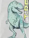 Bild 3 von Jungen Langarmshirt mit Dinoprint Grau