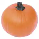 Bild 1 von GARDENLINE Halloween Schnitzkürbis