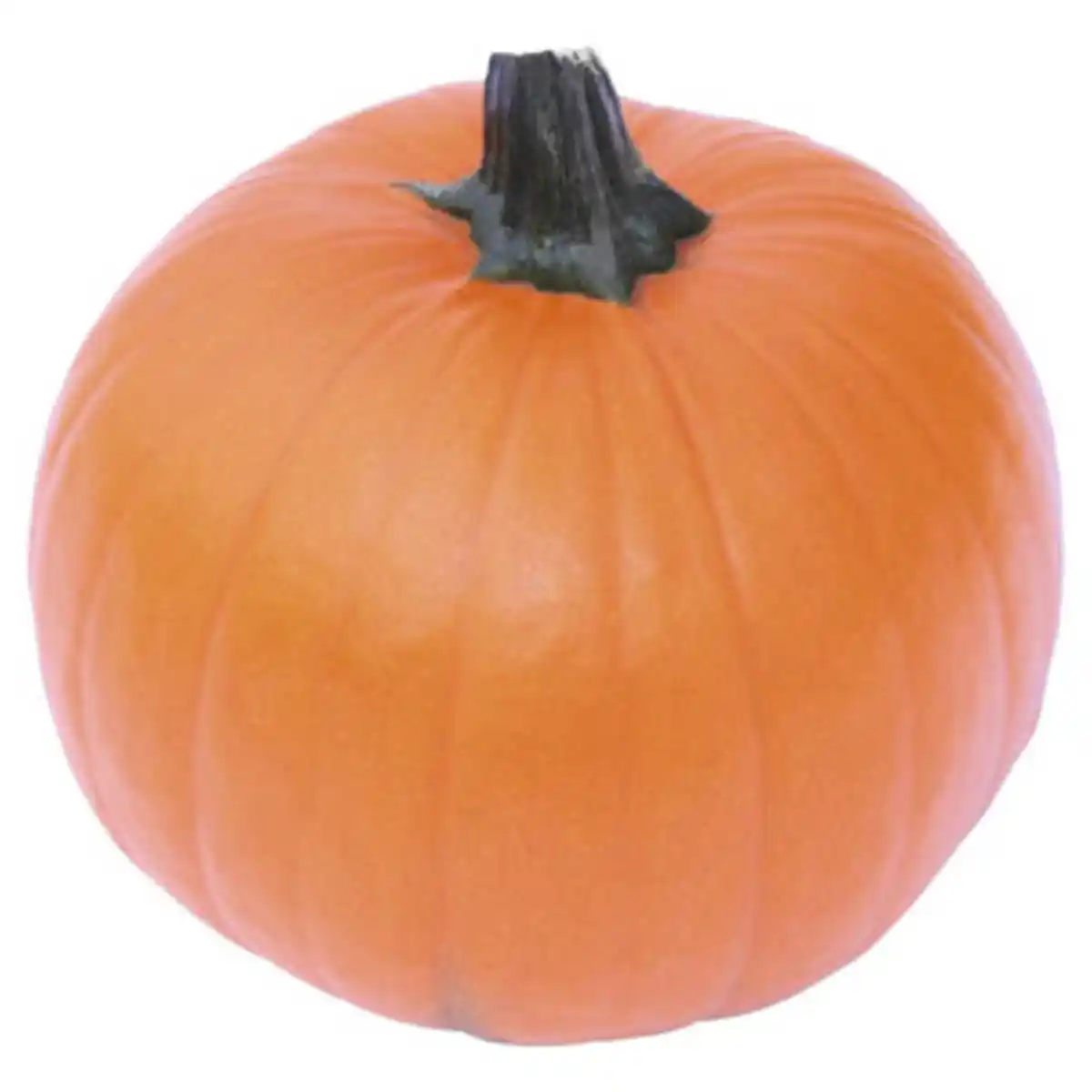 Bild 1 von GARDENLINE Halloween Schnitzkürbis