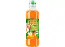 Bild 1 von Fruchttiger Multifrucht Erfrischungsgetränk reinem Saft und stillem Wasser