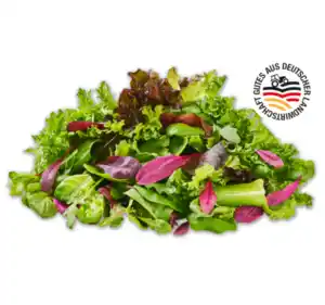 Deutscher mediterraner Pflücksalat*