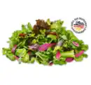Bild 1 von Deutscher mediterraner Pflücksalat*