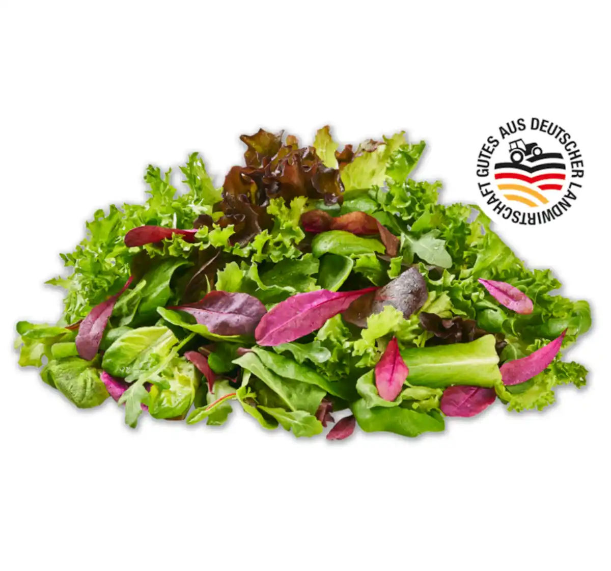 Bild 1 von Deutscher mediterraner Pflücksalat*