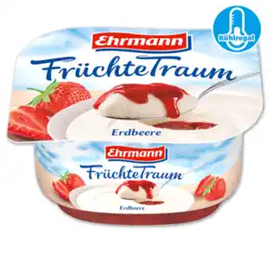 EHRMANN Früchte-, Vanille- oder Grießtraum*