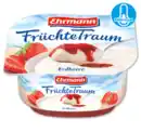 Bild 1 von EHRMANN Früchte-, Vanille- oder Grießtraum*