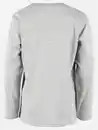 Bild 2 von Jungen Langarmshirt mit Dinoprint Grau