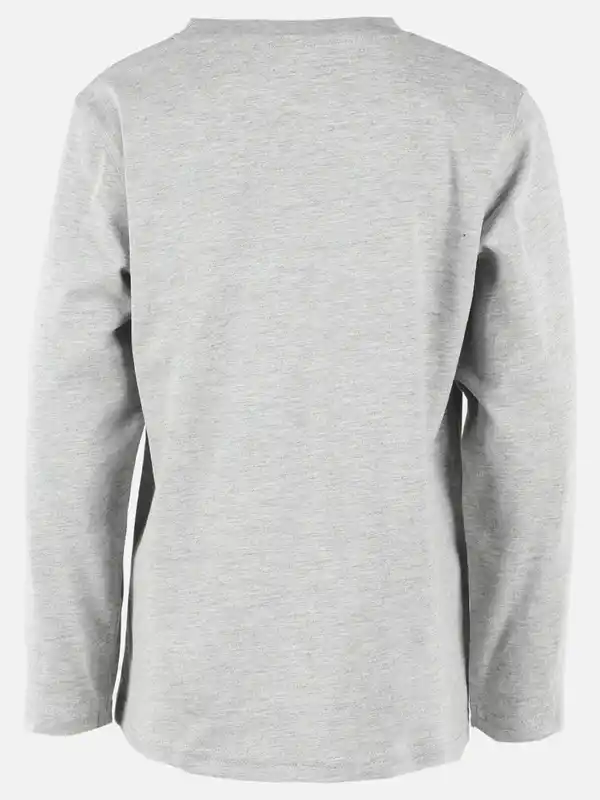 Bild 2 von Jungen Langarmshirt mit Dinoprint Grau