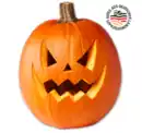 Bild 1 von Deutscher Halloweenkürbis*