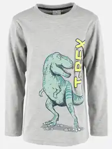 Jungen Langarmshirt mit Dinoprint Grau