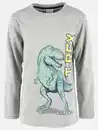 Bild 1 von Jungen Langarmshirt mit Dinoprint Grau