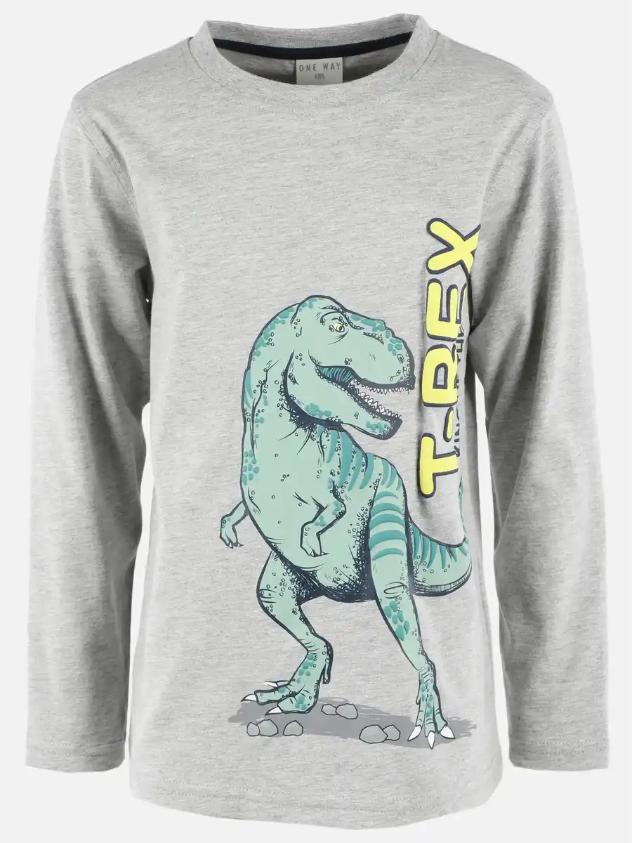 Bild 1 von Jungen Langarmshirt mit Dinoprint Grau