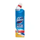 Bild 2 von DOMESTOS WC-Reiniger