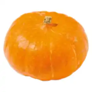 Deutscher Hokkaido Kürbis
