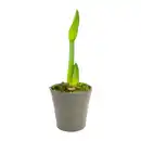Bild 3 von GARDENLINE Amaryllis im Keramiktopf