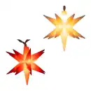 Bild 1 von HOME CREATION LED-Sternenlichterkette
