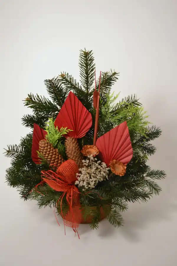 Bild 2 von Grabschale