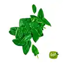 Bild 1 von BIO Spinat