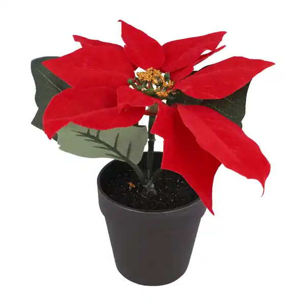 Bild 2 von JES COLLECTION Weihnachtsdeko